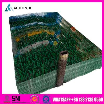 Seng Gelombang Warna
